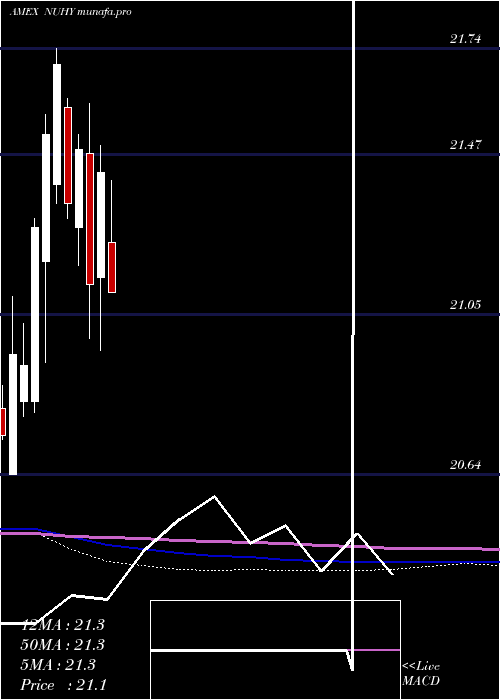  monthly chart NuveenEsg