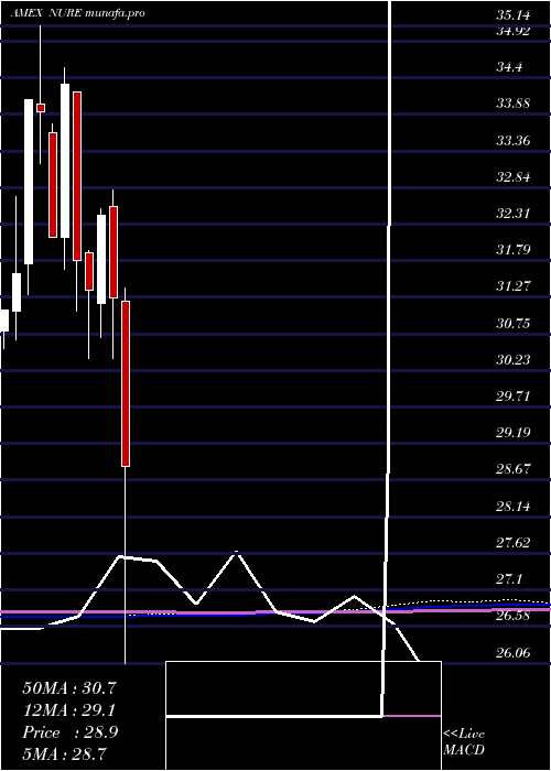  monthly chart NusharesShort