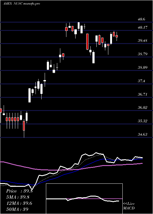 Daily chart NusharesEsg