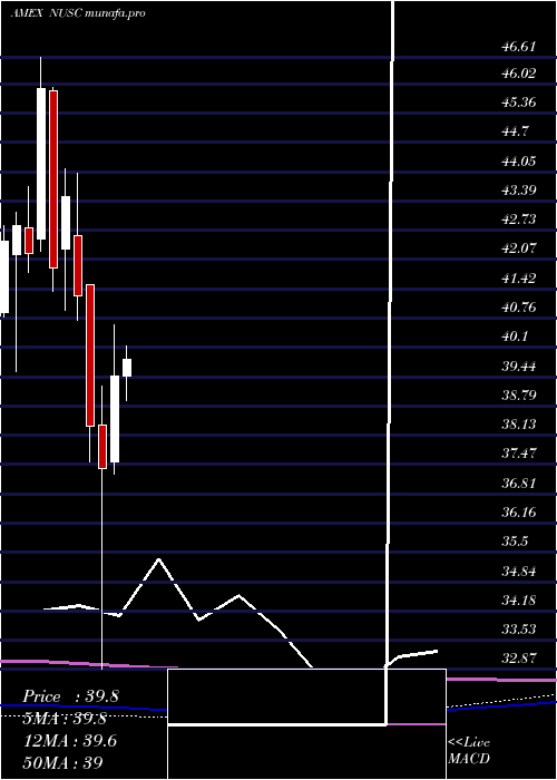 monthly chart NusharesEsg