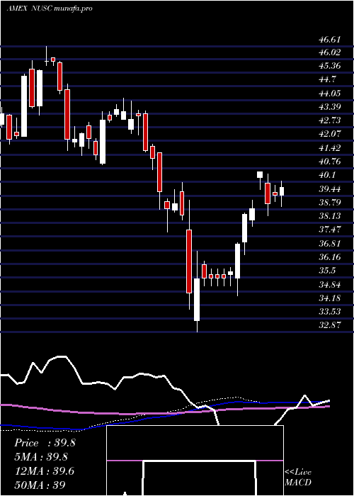 weekly chart NusharesEsg