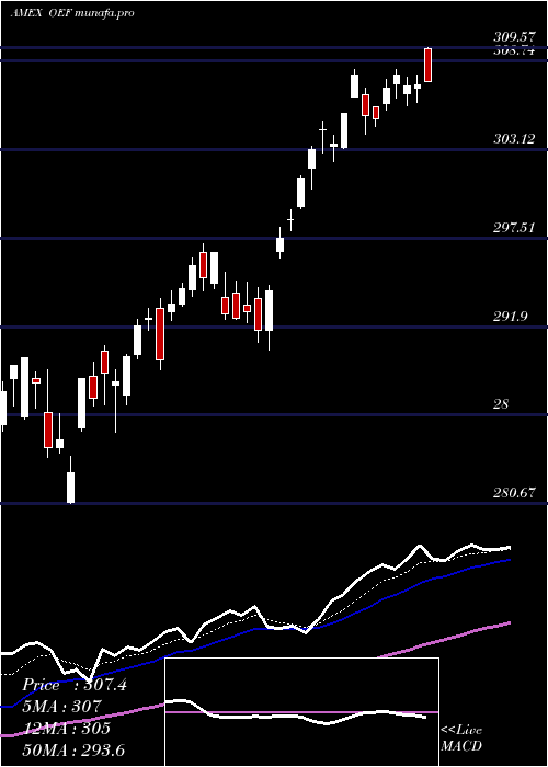 Daily chart SP