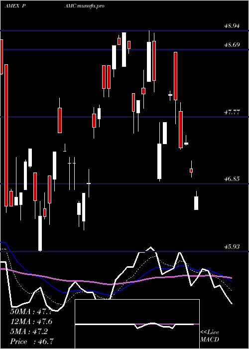  Daily chart PacerLunt