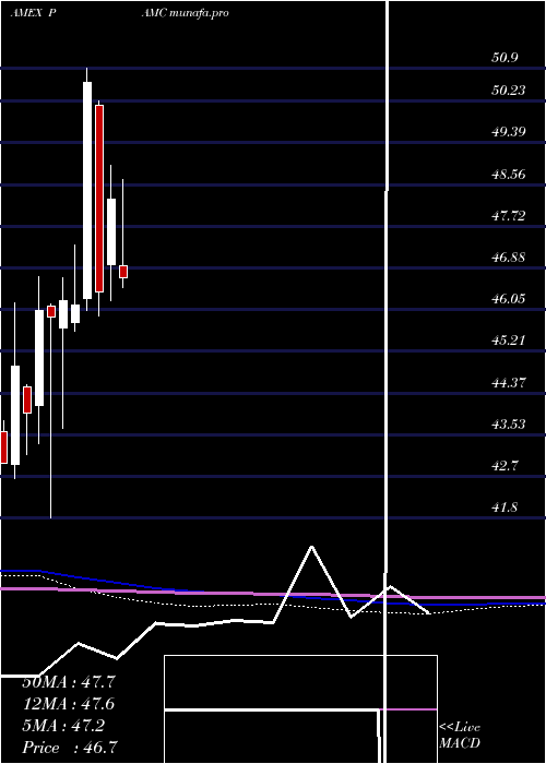  monthly chart PacerLunt