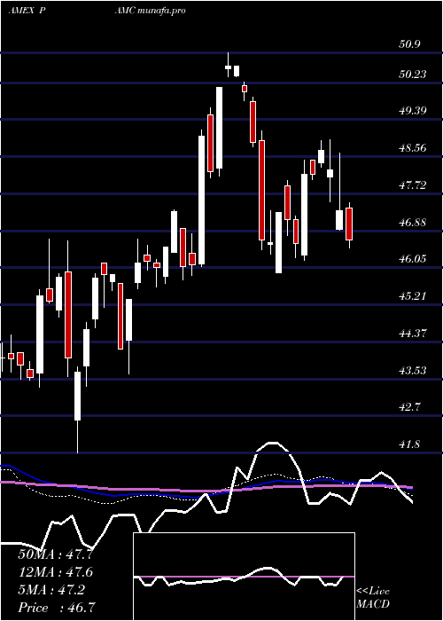  weekly chart PacerLunt