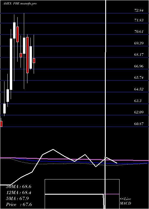  monthly chart DynamicBiotech