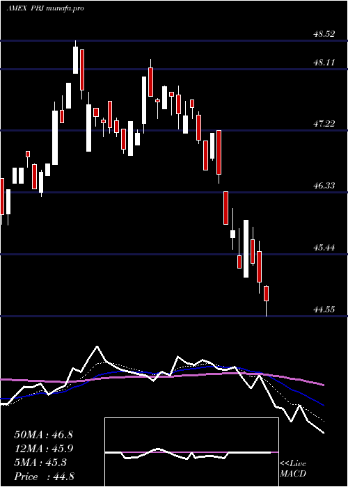  Daily chart DynamicFood