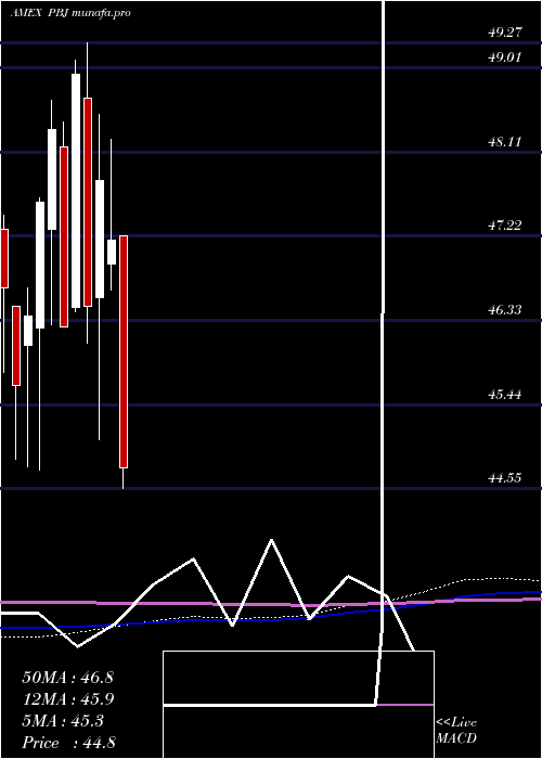  monthly chart DynamicFood