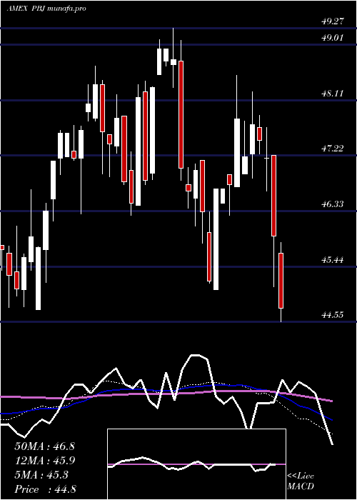  weekly chart DynamicFood