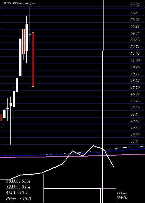  monthly chart DynamicLeisure