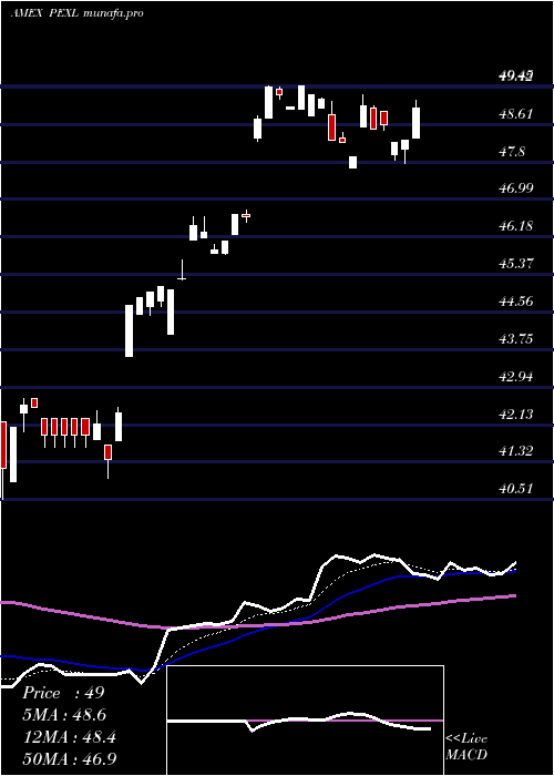  Daily chart PacerUs