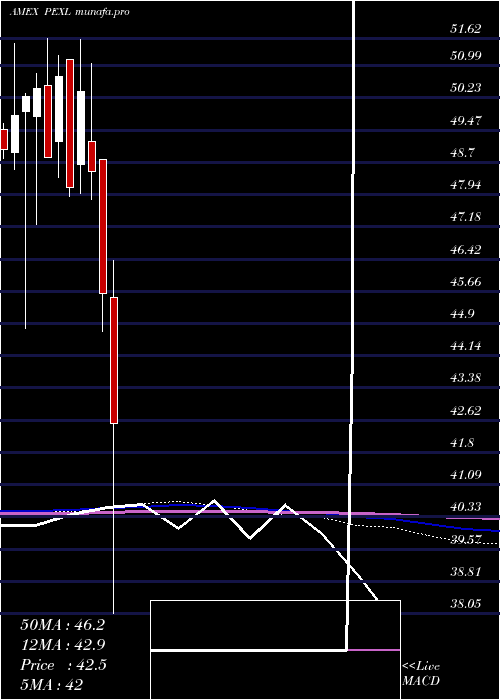  monthly chart PacerUs