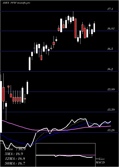 Daily chart MarketVectors