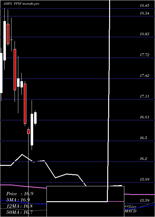 monthly chart MarketVectors