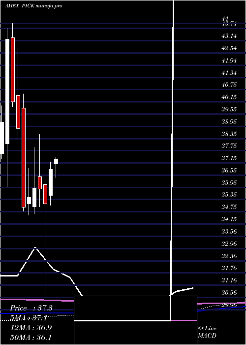 monthly chart GlobalSel