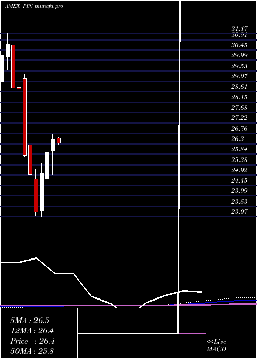 monthly chart IndiaPowershares