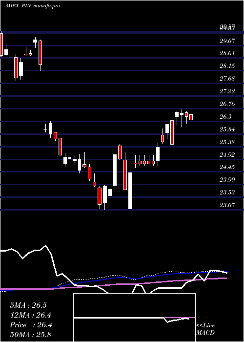 weekly chart IndiaPowershares