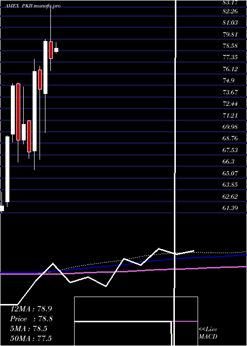  monthly chart DynamicBuilding