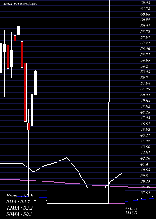 monthly chart DynamicSemiconductors