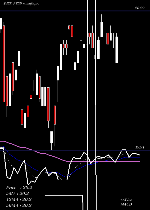  Daily chart PacerTrendpilot