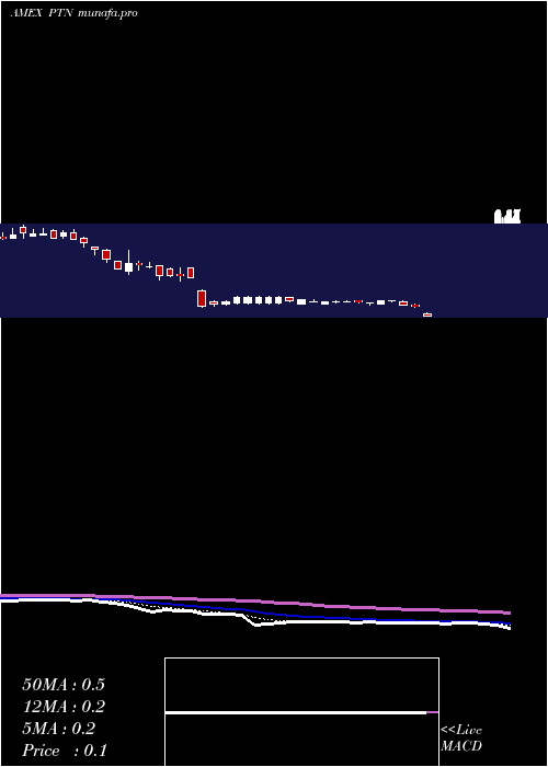 Daily chart PalatinTechnologies