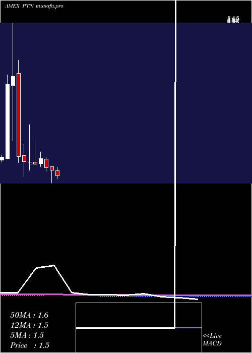  monthly chart PalatinTechnologies