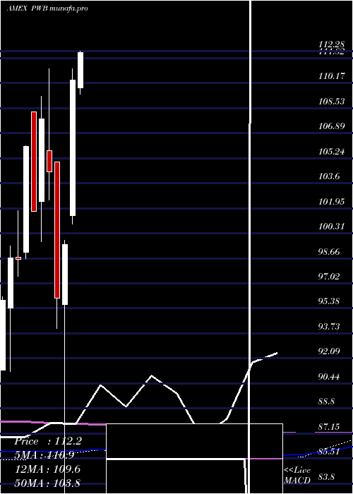 monthly chart DynamicLargecap