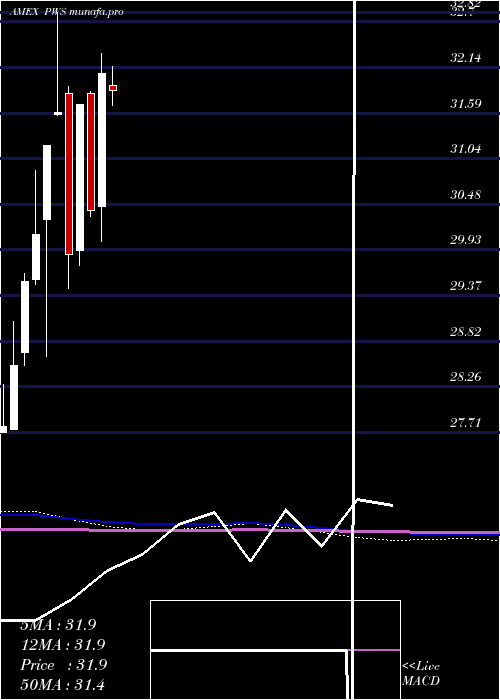  monthly chart PacerWealthshield