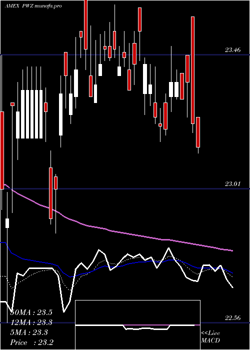  Daily chart InsuredCalifornia