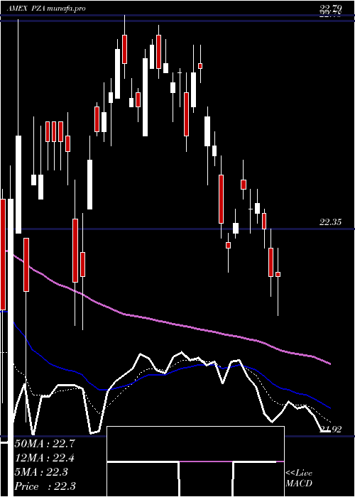 Daily chart InsuredNational