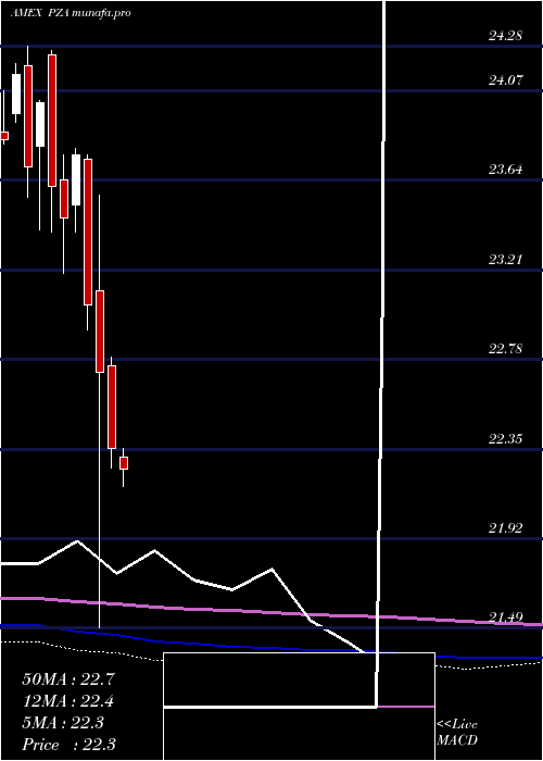 monthly chart InsuredNational