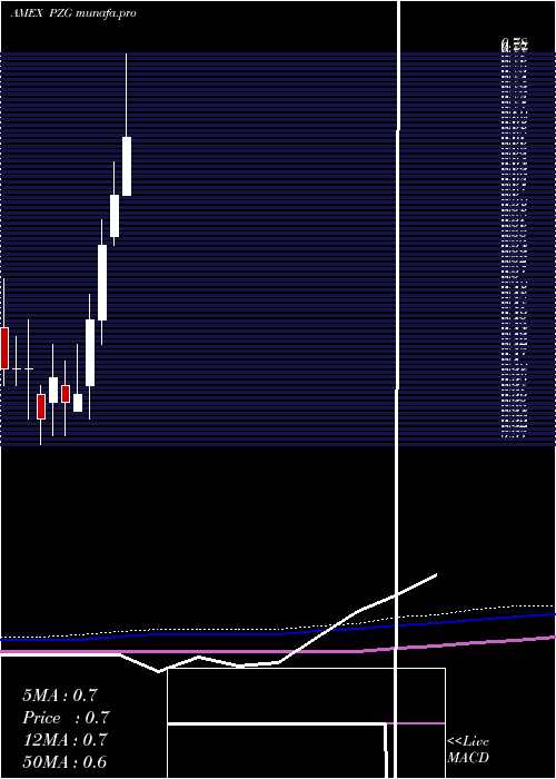 monthly chart ParamountGold