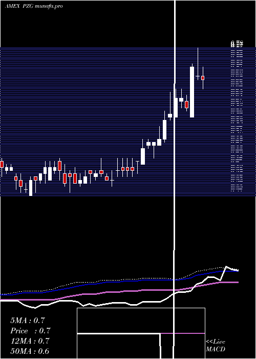 weekly chart ParamountGold