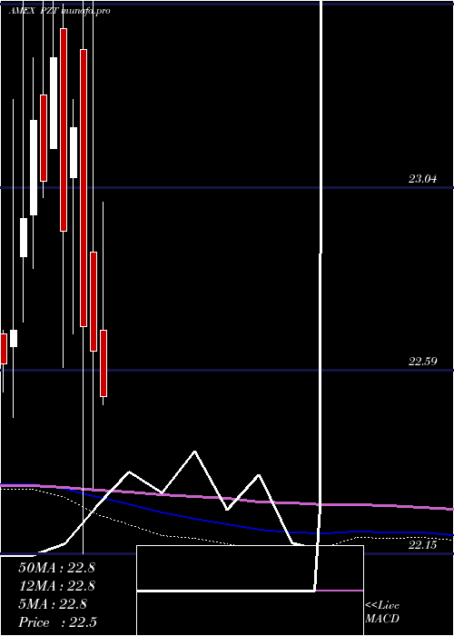  monthly chart InsuredNew