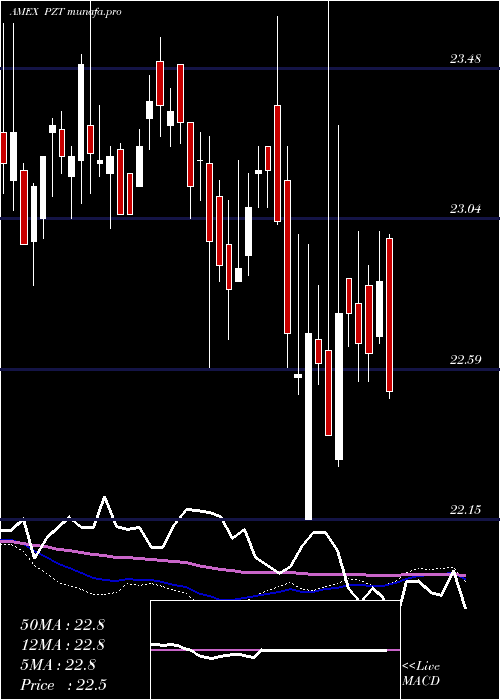  weekly chart InsuredNew