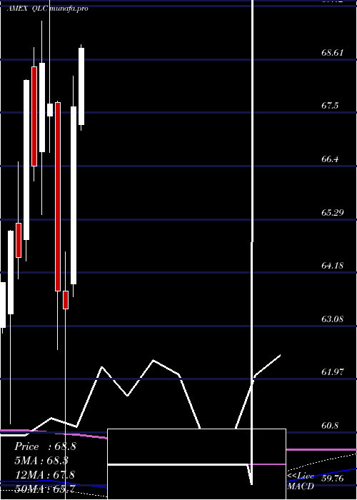  monthly chart FlexsharesUs