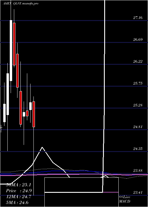  monthly chart FlexsharesEm