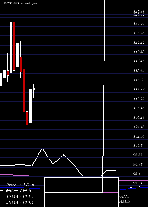 monthly chart RevenuesharesMidcap