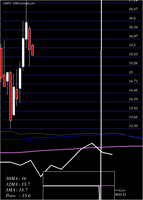 monthly chart ShortSmallcap