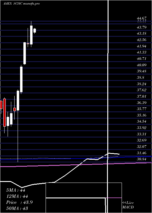 monthly chart SchwabIntl