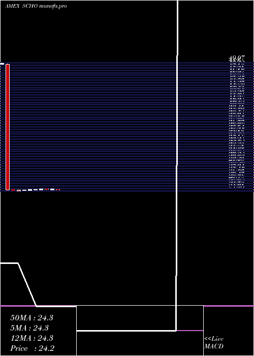 monthly chart SchwabShort