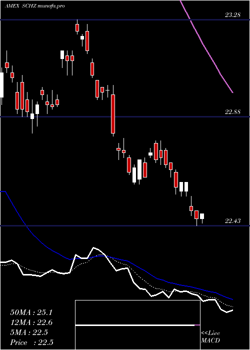 Daily chart SchwabUs