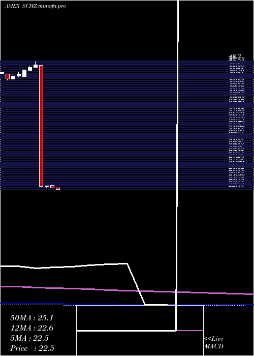  monthly chart SchwabUs