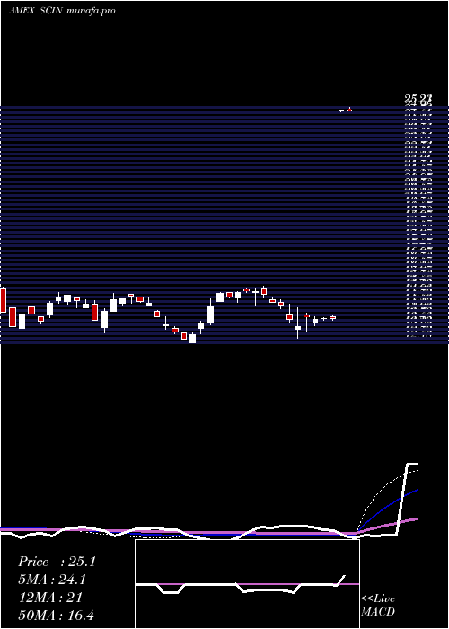  weekly chart IndiaSmallcap