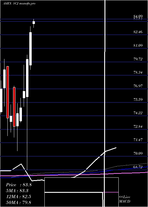 monthly chart JapanSmallcap