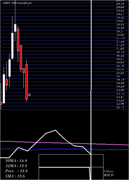 monthly chart UltrashortSmallcap