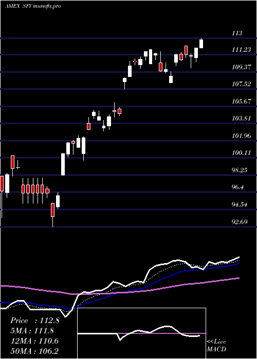 Daily chart SofiSelect