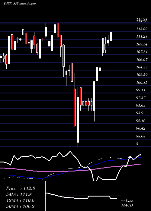 weekly chart SofiSelect