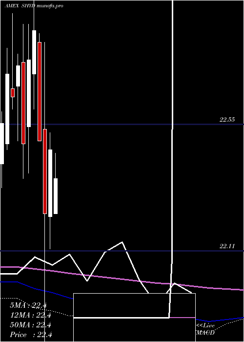 monthly chart MarketVectors