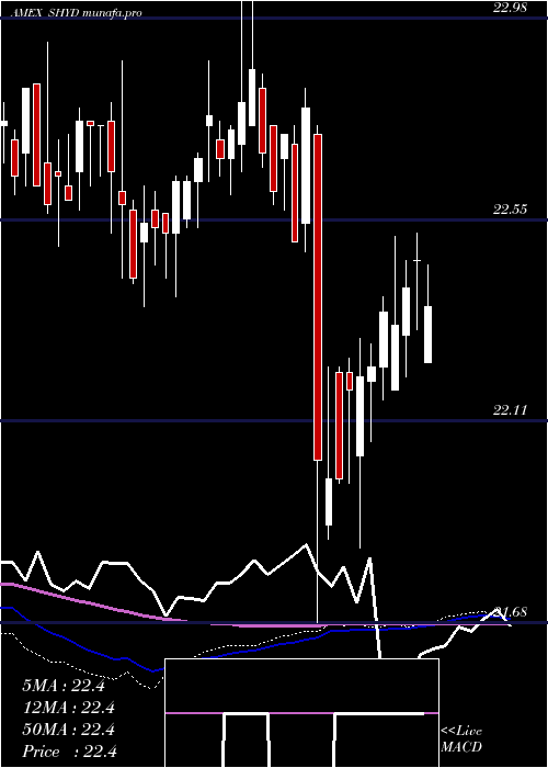 weekly chart MarketVectors